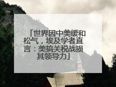 世界因中美缓和松气，埃及学者直言：美搞关税战损其领导力