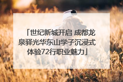 世纪新城开启 成都龙泉驿光华东山学子沉浸式体验72行职业魅力