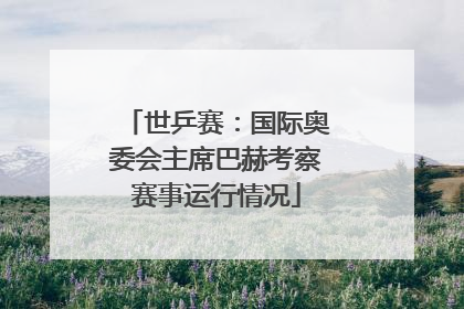 世乒赛：国际奥委会主席巴赫考察赛事运行情况