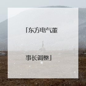 东方电气董事长调整
