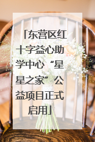 东营区红十字益心助学中心“星星之家”公益项目正式启用