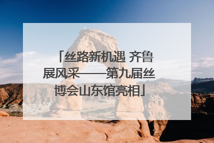 丝路新机遇 齐鲁展风采——第九届丝博会山东馆亮相