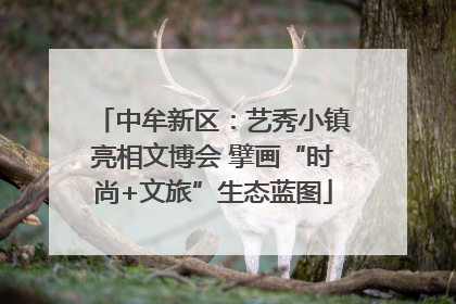 中牟新区：艺秀小镇亮相文博会 擘画“时尚+文旅”生态蓝图