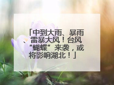 中到大雨、暴雨、雷暴大风！台风“蝴蝶”来袭，或将影响湖北！