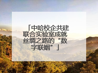 中哈校企共建联合实验室成就丝绸之路的“数字联姻”
