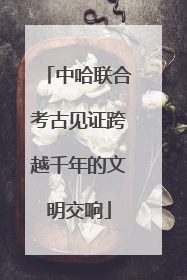中哈联合考古见证跨越千年的文明交响