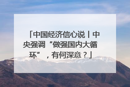 中国经济信心说丨中央强调“做强国内大循环”，有何深意？