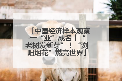 中国经济样本观察·一“业”成名丨“老树发新芽”！“浏阳烟花”燃亮世界