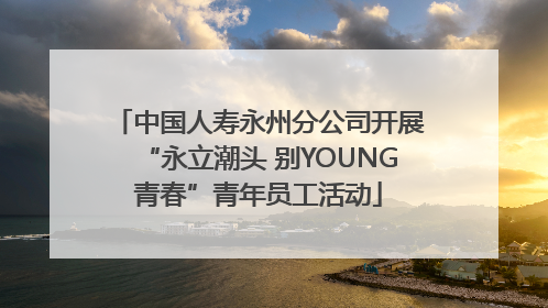 中国人寿永州分公司开展“永立潮头 别YOUNG青春”青年员工活动