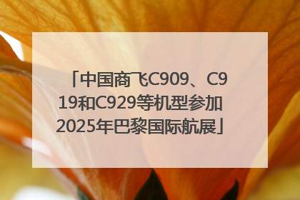 中国商飞C909、C919和C929等机型参加2025年巴黎国际航展