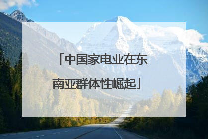 中国家电业在东南亚群体性崛起