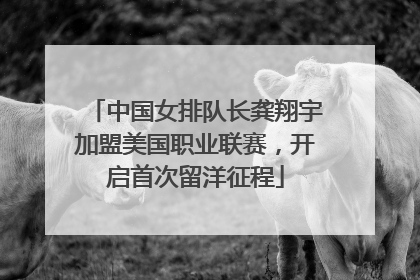 中国女排队长龚翔宇加盟美国职业联赛，开启首次留洋征程