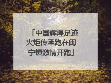 中国辉煌足迹火炬传承跑在闽宁镇激情开跑