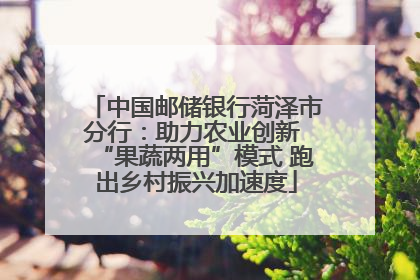 中国邮储银行菏泽市分行：助力农业创新 “果蔬两用”模式 跑出乡村振兴加速度