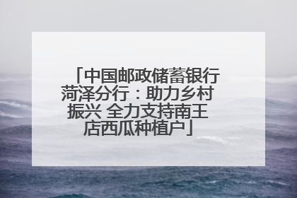 中国邮政储蓄银行菏泽分行：助力乡村振兴 全力支持南王店西瓜种植户