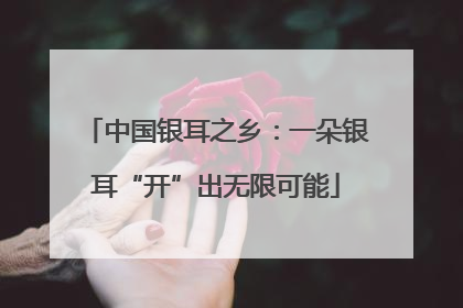 中国银耳之乡：一朵银耳“开”出无限可能