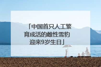 中国首只人工繁育成活的雌性雪豹迎来9岁生日