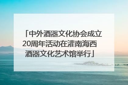 中外酒器文化协会成立20周年活动在灌南海西酒器文化艺术馆举行