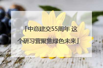 中意建交55周年 这个研习营聚焦绿色未来