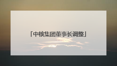 中核集团董事长调整