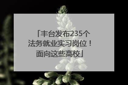 丰台发布235个法务就业实习岗位！面向这些高校