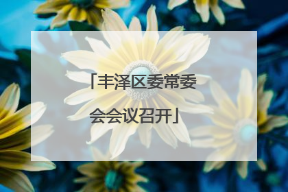 丰泽区委常委会会议召开