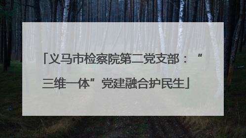 义马市检察院第二党支部：“三维一体”党建融合护民生