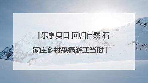 乐享夏日 回归自然 石家庄乡村采摘游正当时