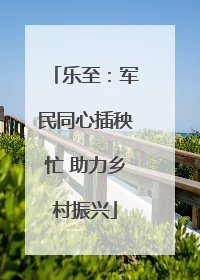 乐至：军民同心插秧忙 助力乡村振兴