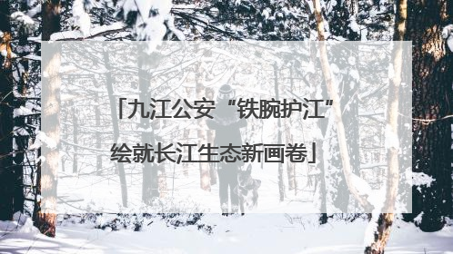 九江公安“铁腕护江”绘就长江生态新画卷