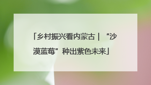 乡村振兴看内蒙古｜“沙漠蓝莓”种出紫色未来