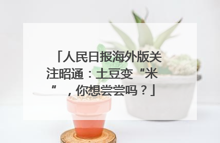 人民日报海外版关注昭通：土豆变“米”，你想尝尝吗？