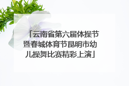 云南省第六届体操节暨春城体育节昆明市幼儿操舞比赛精彩上演