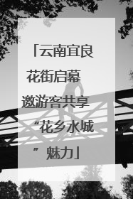 云南宜良花街启幕 邀游客共享“花乡水城”魅力
