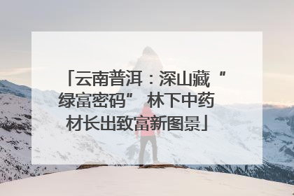 云南普洱：深山藏“绿富密码” 林下中药材长出致富新图景