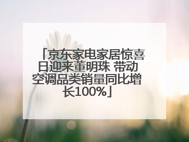 京东家电家居惊喜日迎来董明珠 带动空调品类销量同比增长100%