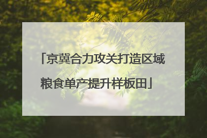 京冀合力攻关打造区域粮食单产提升样板田
