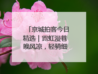 京城拍客今日精选｜霓虹漫巷晚风凉，轻骑细品岁月长