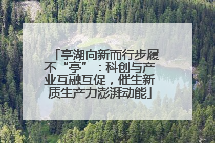 亭湖向新而行步履不“亭”：科创与产业互融互促，催生新质生产力澎湃动能