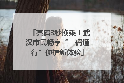 亮码3秒换乘！武汉市民畅享“一码通行”便捷新体验