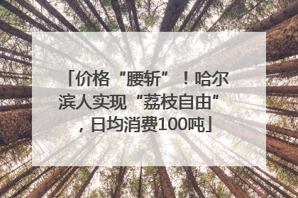 价格“腰斩”！哈尔滨人实现“荔枝自由”，日均消费100吨