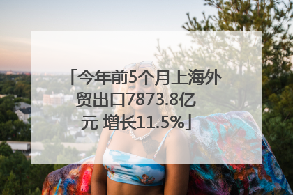 今年前5个月上海外贸出口7873.8亿元 增长11.5%