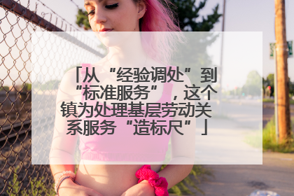从“经验调处”到“标准服务”，这个镇为处理基层劳动关系服务“造标尺”