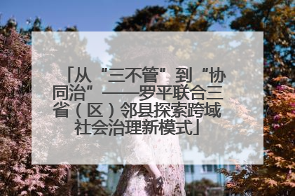 从“三不管”到“协同治”——罗平联合三省（区）邻县探索跨域社会治理新模式
