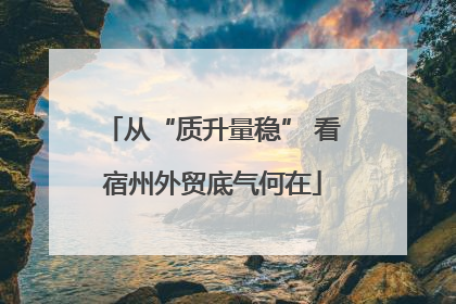 从“质升量稳” 看宿州外贸底气何在