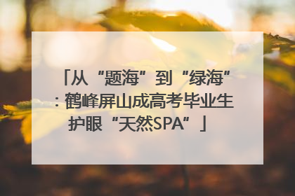 从“题海”到“绿海”：鹤峰屏山成高考毕业生护眼“天然SPA”