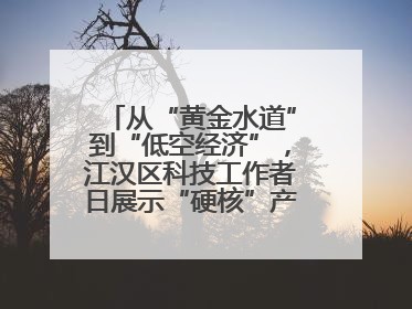 从“黄金水道”到“低空经济”，江汉区科技工作者日展示“硬核”产业答卷