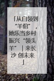 从白领到“羊倌”，她乐当乡村振兴“领头羊”｜来长沙 创未来