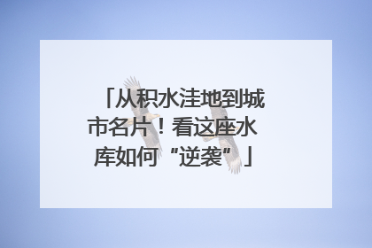 从积水洼地到城市名片！看这座水库如何“逆袭”