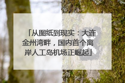 从图纸到现实：大连金州湾畔，国内首个离岸人工岛机场正崛起